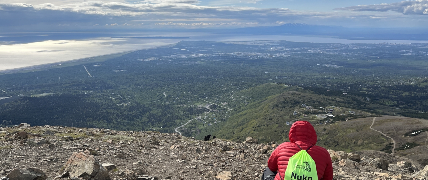 Person looking at the view on Flattop Mountain