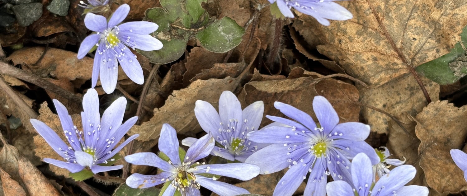 Photo 30-04-2025, 14 00 15